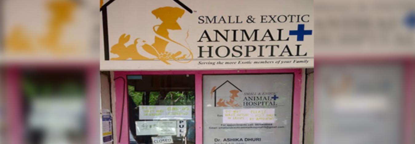 Small And Exotic Animal Hospital Kandivali West - Haduk Small And Exotic Animal Hospital Kandivali West - Haduk