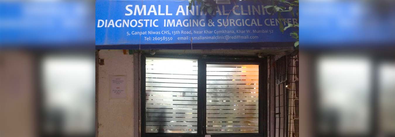 Small Animal Clinic, Diagnostics Imaging & Surgical Center Khar West,  Mumbai - Haduk