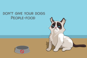 do not give your dogs People-food