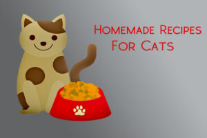 homemade recipes fuzzy cats.