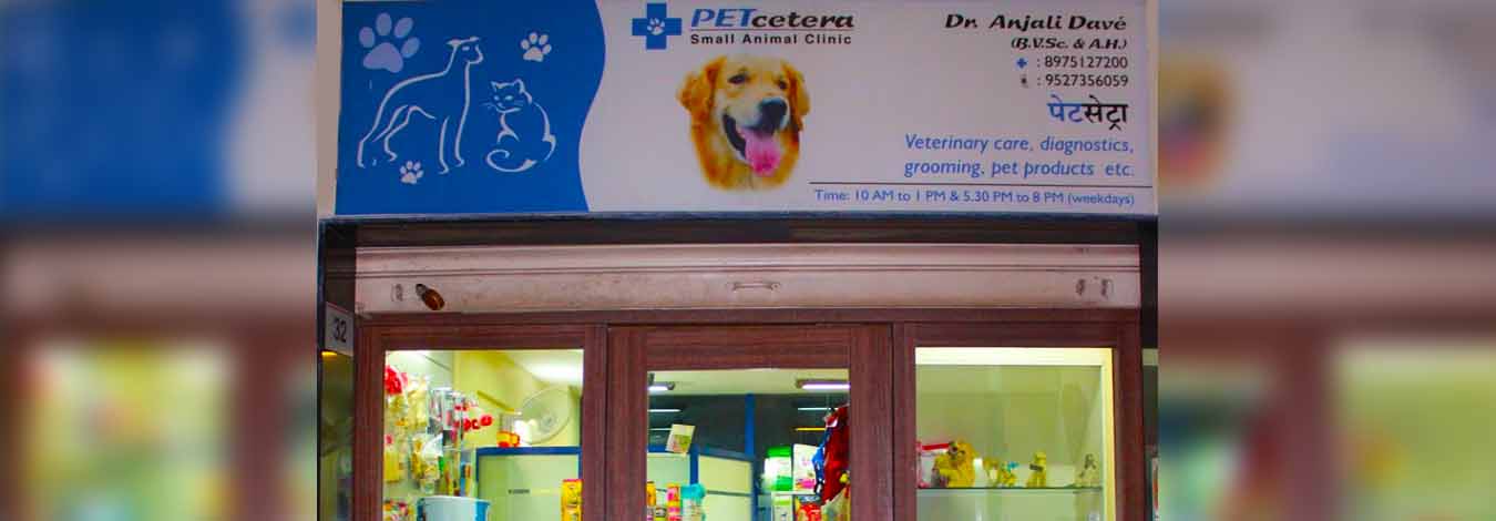 Dr katre hot sale pet clinic