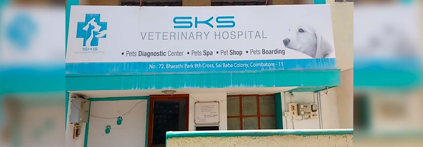 the ark veterinary clinic - home facebook on ark pet hospital thiruvanmiyur